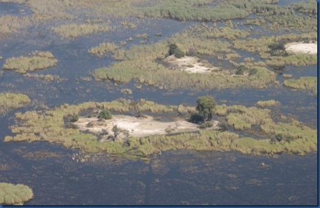 Okavango Delta 1