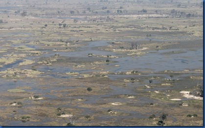 Okavango Delta 2