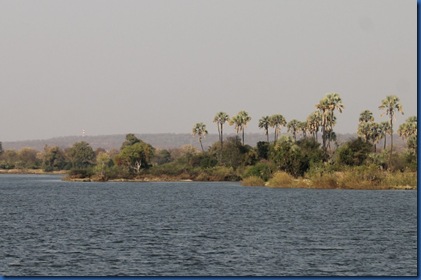 Okavango Delta 3