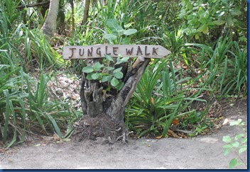 Dhigali - jungle walk 1