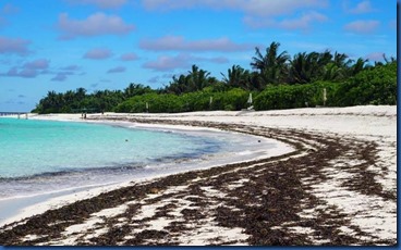 Six Senses Laamu - eco beach