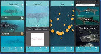Whale Shark app
