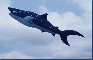 Havent Seen - Whale Shark Kite